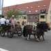 Sint-Paulus paardenprocessie Opwijk 08 060