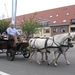 Sint-Paulus paardenprocessie Opwijk 08 061