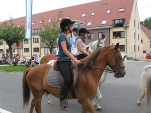 Sint-Paulus paardenprocessie Opwijk 08 062