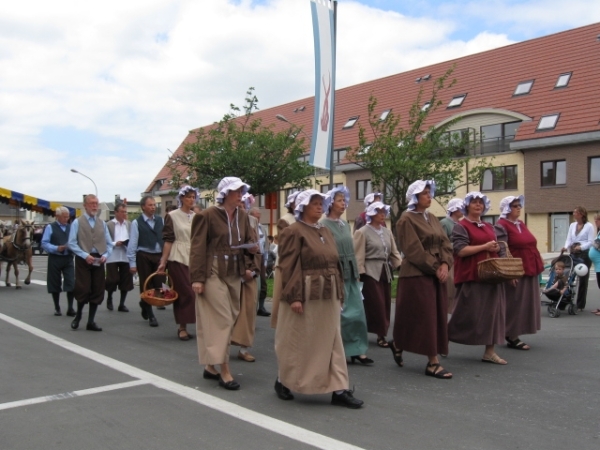 Sint-Paulus paardenprocessie Opwijk 08 084