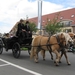 Sint-Paulus paardenprocessie Opwijk 08 085