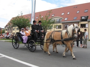 Sint-Paulus paardenprocessie Opwijk 08 086