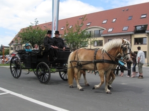 Sint-Paulus paardenprocessie Opwijk 08 088