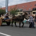 Sint-Paulus paardenprocessie Opwijk 08 107