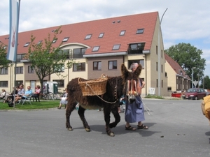 Sint-Paulus paardenprocessie Opwijk 08 108