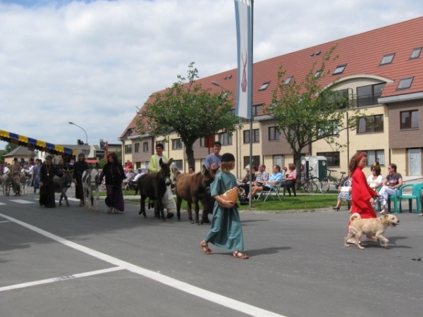 Sint-Paulus paardenprocessie Opwijk 08 109