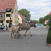 Sint-Paulus paardenprocessie Opwijk 08 112