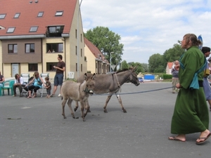 Sint-Paulus paardenprocessie Opwijk 08 112