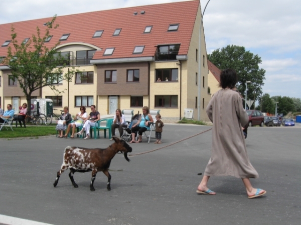 Sint-Paulus paardenprocessie Opwijk 08 113