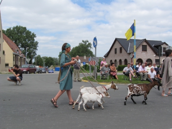 Sint-Paulus paardenprocessie Opwijk 08 114