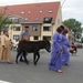 Sint-Paulus paardenprocessie Opwijk 08 115