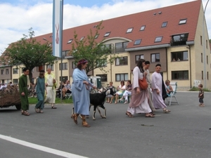 Sint-Paulus paardenprocessie Opwijk 08 116