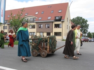 Sint-Paulus paardenprocessie Opwijk 08 118