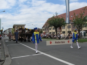 Sint-Paulus paardenprocessie Opwijk 08 121