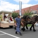 Sint-Paulus paardenprocessie Opwijk 08 122