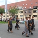 Sint-Paulus paardenprocessie Opwijk 08 132