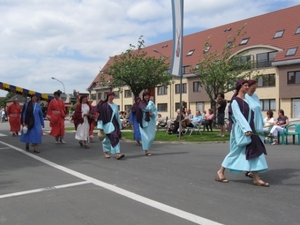 Sint-Paulus paardenprocessie Opwijk 08 141