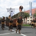 Sint-Paulus paardenprocessie Opwijk 08 148