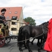 Sint-Paulus paardenprocessie Opwijk 08 157