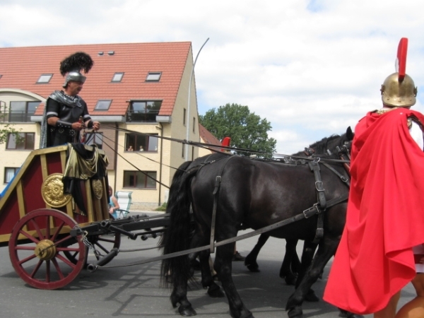 Sint-Paulus paardenprocessie Opwijk 08 157