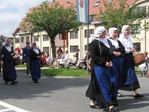 Sint-Paulus paardenprocessie Opwijk 08 186