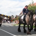 Sint-Paulus paardenprocessie Opwijk 08 188