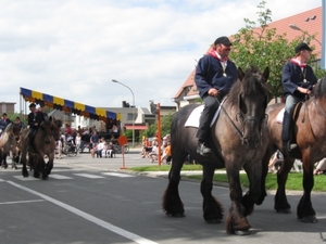 Sint-Paulus paardenprocessie Opwijk 08 188