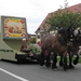 Sint-Paulus paardenprocessie Opwijk 08 199