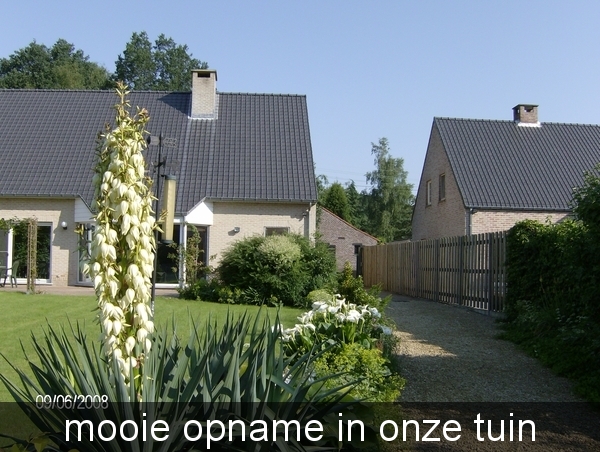 juni 2008