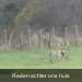 reen achter ons huis