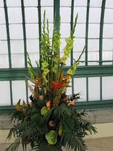 koningklijke serres van Laken 035