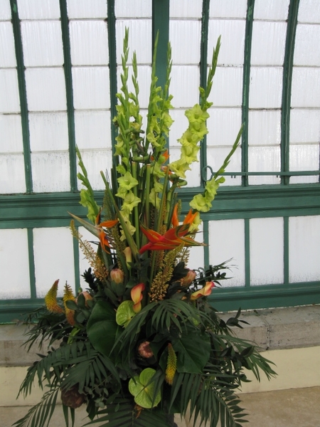 koningklijke serres van Laken 035