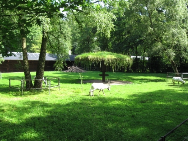 Mechelen-Muizen-Plankendael 059