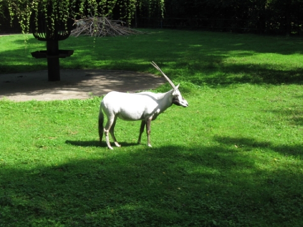 Mechelen-Muizen-Plankendael 062