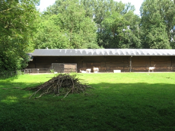 Mechelen-Muizen-Plankendael 064