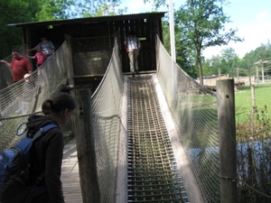 Mechelen-Muizen-Plankendael 067