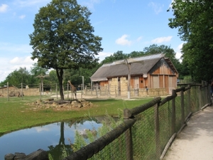 Mechelen-Muizen-Plankendael 076