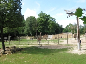 Mechelen-Muizen-Plankendael 077