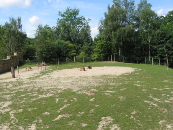 Mechelen-Muizen-Plankendael 080