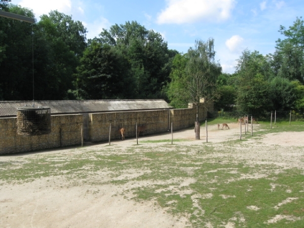 Mechelen-Muizen-Plankendael 081