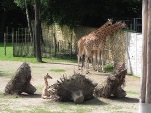 Mechelen-Muizen-Plankendael 084