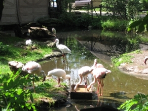 Mechelen-Muizen-Plankendael 098