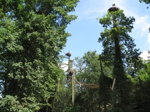 Mechelen-Muizen-Plankendael 100