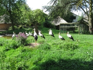 Mechelen-Muizen-Plankendael 101