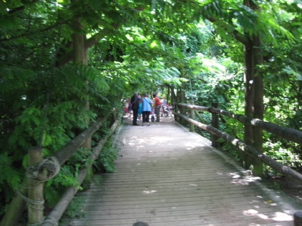 Mechelen-Muizen-Plankendael 123