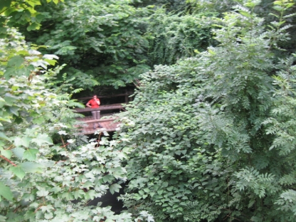 Mechelen-Muizen-Plankendael 131