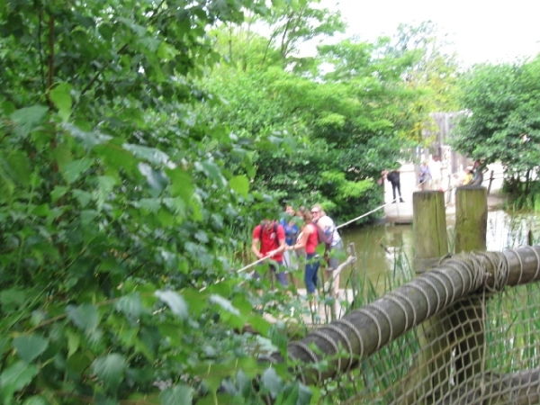 Mechelen-Muizen-Plankendael 140