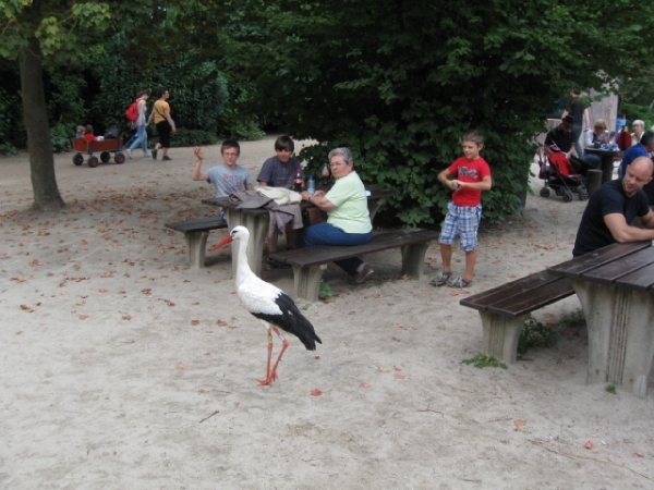 Mechelen-Muizen-Plankendael 144