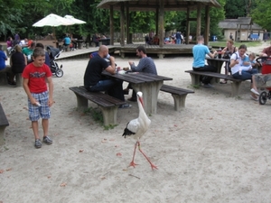 Mechelen-Muizen-Plankendael 145