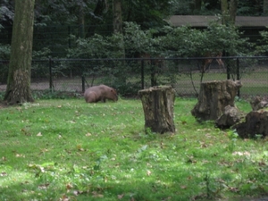 Mechelen-Muizen-Plankendael 149